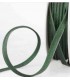 PASSEPOIL Lurex Vert 22mm