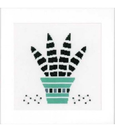 VERVACO Kit Point Compté Succulente Vert