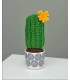 PETITES PLANTES A CROCHETER - 25 TUTOS