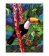 MARGOT Canevas : Coco le Toucan