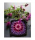 FLEURS SAUVAGES AU CROCHET - VERSION GRANNY