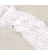 DENTELLE ÉLASTIQUE à FLEURS 10,2cm - BLANC