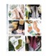 La bible des chaussettes AU TRICOT
