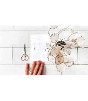 CARO TRICOTE : Planche patron  "Un cerf en hiver"