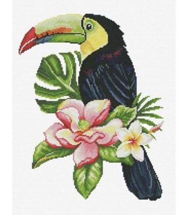 No count cross stitch  - TOUCAN LOOK OUT