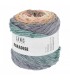 LANG YARNS : Paradise - PASTEL