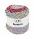 LANG YARNS : Paradise - ARC EN CIEL