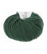 LANG YARNS : Poséidon - 0018 - KAKI