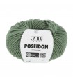 LANG YARNS : Poséidon -0091- Olive