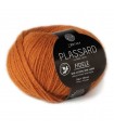 PLASSARD   FIDELE CITROUILLE