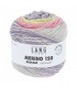 LANG YARNS   Merino 120 degrade PASTEL