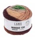 LANG YARNS   Merino 120 degrade AUTOMNE