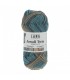 LANG YARNS   Jawoll Twin BLEU TERRE