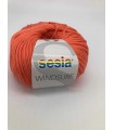 SESIA  Windsurf CORAIL